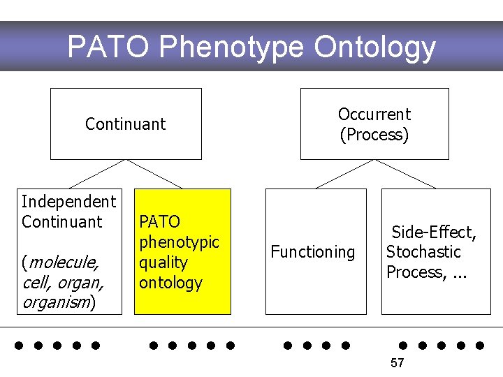 PATO Phenotype Ontology Continuant Independent Continuant (molecule, cell, organism) PATO phenotypic quality ontology Occurrent