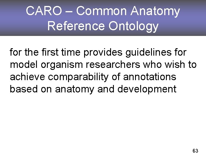 CARO – Common Anatomy Reference Ontology for the first time provides guidelines for model