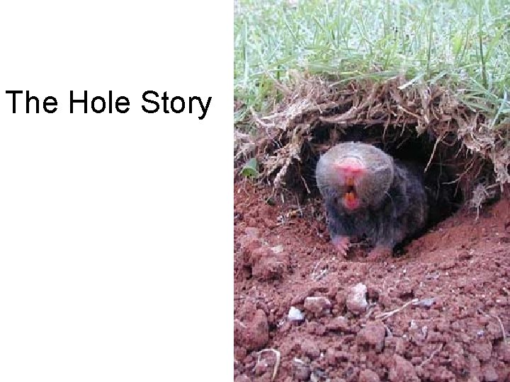 The Hole Story 