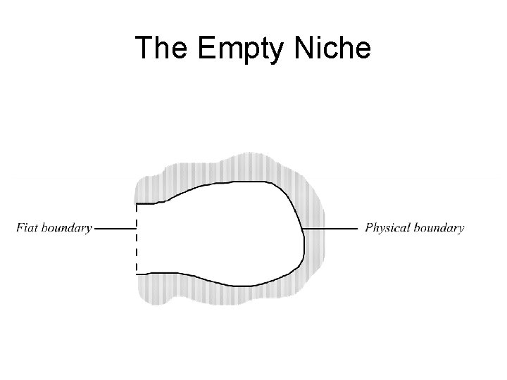 The Empty Niche 