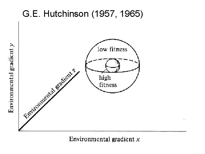 G. E. Hutchinson (1957, 1965) 