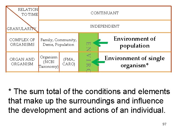 RELATION TO TIME CONTINUANT INDEPENDENT GRANULARITY ORGAN AND ORGANISM CELL AND CELLULAR COMPONENT Family,