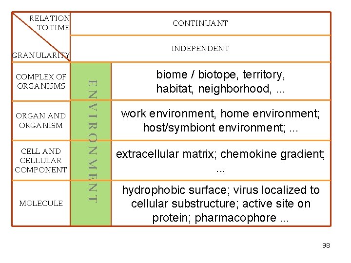 RELATION TO TIME CONTINUANT INDEPENDENT GRANULARITY CELL AND CELLULAR COMPONENT MOLECULE ENVIRONMENT ORGAN AND