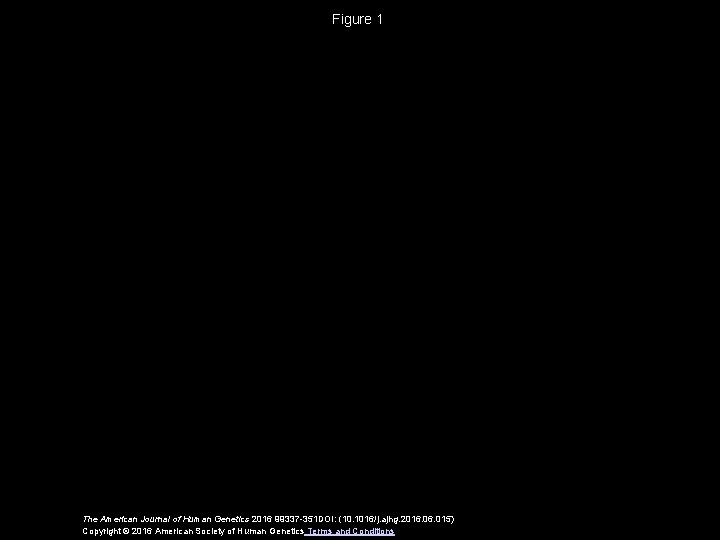 Figure 1 The American Journal of Human Genetics 2016 99337 -351 DOI: (10. 1016/j.