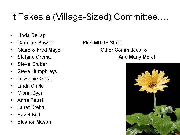 It Takes a (Village-Sized) Committee…. • • • • Linda De. Lap Caroline Gower