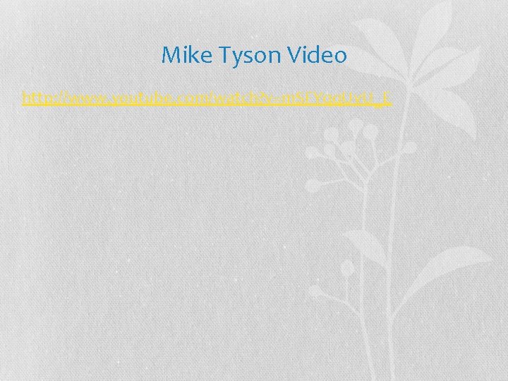 Mike Tyson Video http: //www. youtube. com/watch? v=m. SFYqq. Uv. U_E 
