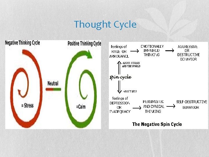 Thought Cycle 