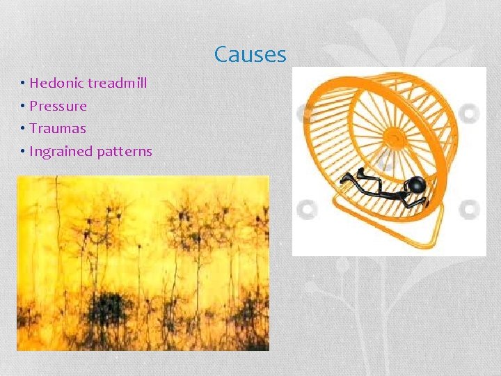Causes • Hedonic treadmill • Pressure • Traumas • Ingrained patterns 