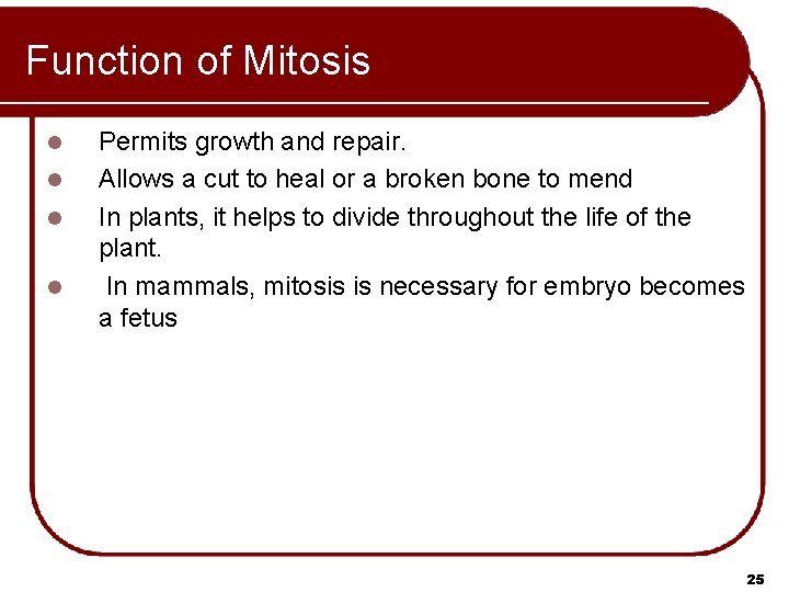 Function of Mitosis l l Permits growth and repair. Allows a cut to heal Function of Mitosis l l Permits growth and repair. Allows a cut to heal