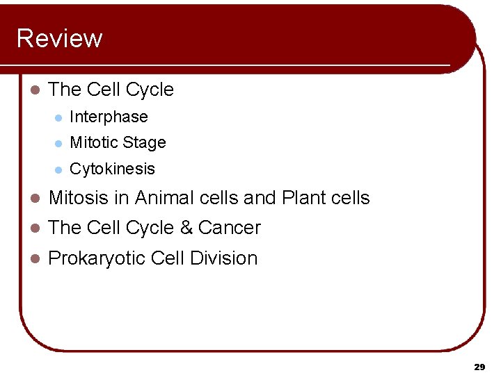 Review l The Cell Cycle l Interphase l Mitotic Stage l Cytokinesis l Mitosis