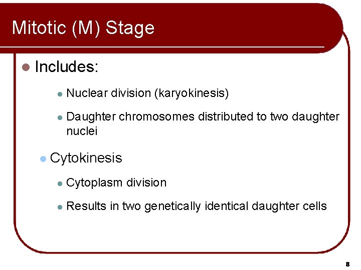 Mitotic (M) Stage l Includes: l l Nuclear division (karyokinesis) l Daughter chromosomes distributed