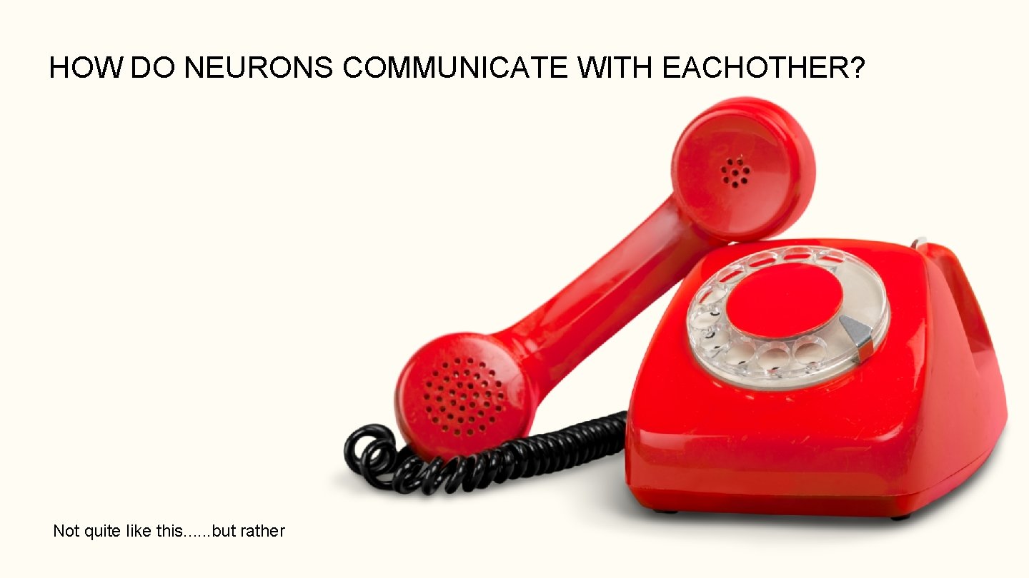 HOW DO NEURONS COMMUNICATE WITH EACHOTHER? Not quite like this. . . but rather