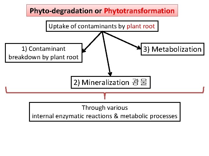 Phyto-degradation or Phytotransformation Uptake of contaminants by plant root 1) Contaminant breakdown by plant