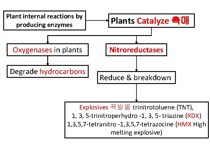 Plant internal reactions by producing enzymes Oxygenases in plants Degrade hydrocarbons Plants Catalyze 촉매