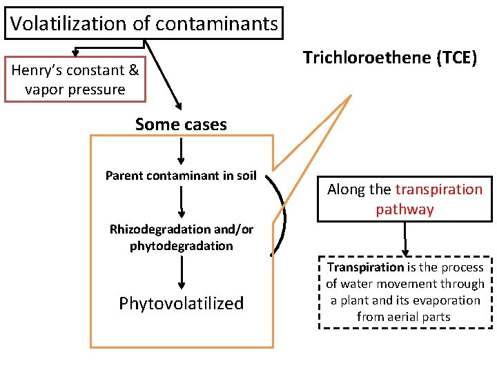 Volatilization of contaminants Henry’s constant & vapor pressure Trichloroethene (TCE) Some cases Parent contaminant