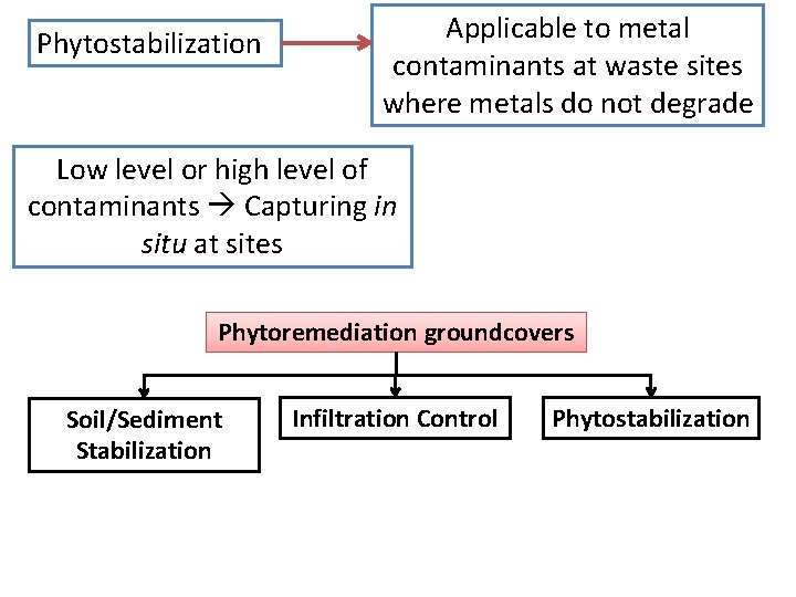 Phytostabilization Applicable to metal contaminants at waste sites where metals do not degrade Low