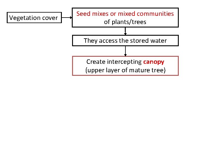 Vegetation cover Seed mixes or mixed communities of plants/trees They access the stored water