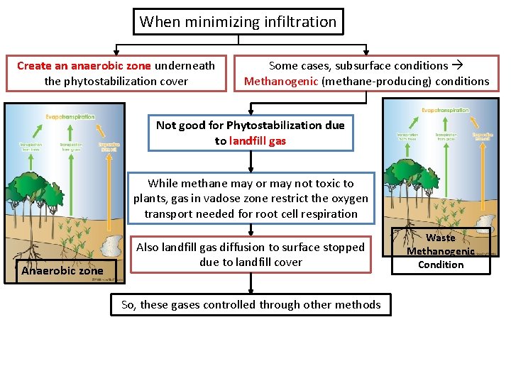 When minimizing infiltration Create an anaerobic zone underneath the phytostabilization cover Some cases, subsurface