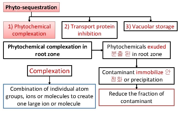 Phyto-sequestration 1) Phytochemical complexation 2) Transport protein inhibition 3) Vacuolar storage Phytochemical complexation in