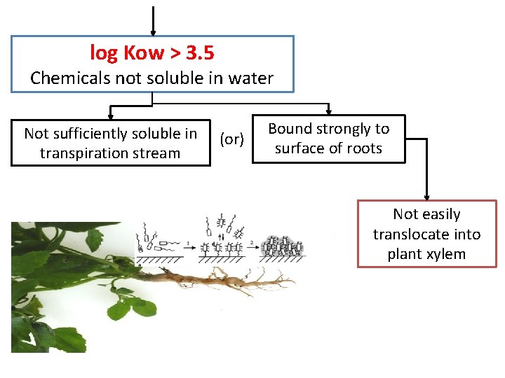 log Kow > 3. 5 Chemicals not soluble in water Not sufficiently soluble in