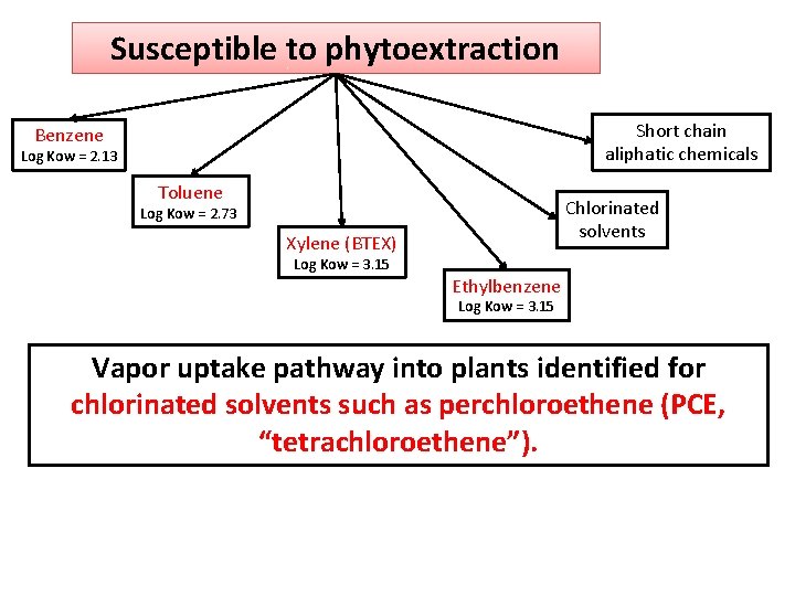 Susceptible to phytoextraction Short chain aliphatic chemicals Benzene Log Kow = 2. 13 Toluene