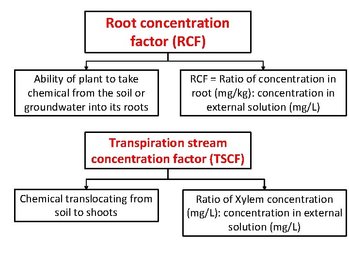 Root concentration factor (RCF) Ability of plant to take chemical from the soil or