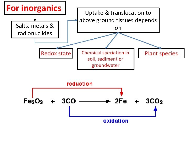 For inorganics Salts, metals & radionuclides Redox state Uptake & translocation to above ground