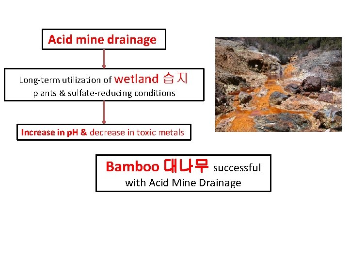 Acid mine drainage Long-term utilization of wetland 습지 plants & sulfate-reducing conditions Increase in