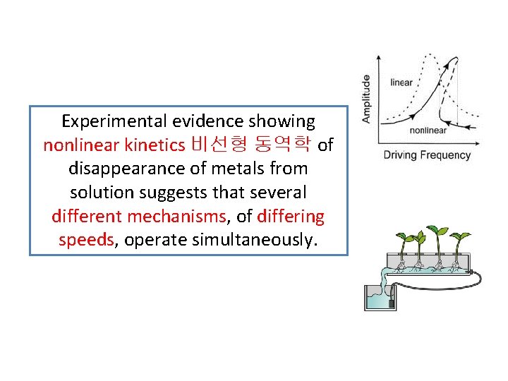 Experimental evidence showing nonlinear kinetics 비선형 동역학 of disappearance of metals from solution suggests