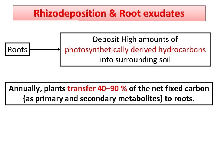 Rhizodeposition & Root exudates Roots Deposit High amounts of photosynthetically derived hydrocarbons into surrounding