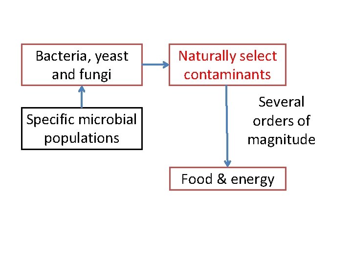 Bacteria, yeast and fungi Specific microbial populations Naturally select contaminants Several orders of magnitude