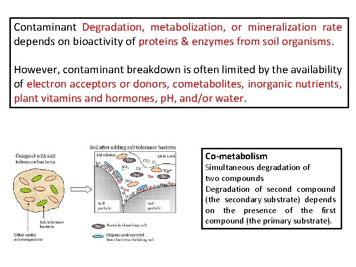 Contaminant Degradation, metabolization, or mineralization rate depends on bioactivity of proteins & enzymes from