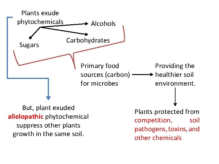 Plants exude phytochemicals Sugars Alcohols Carbohydrates Primary food sources (carbon) for microbes But, plant