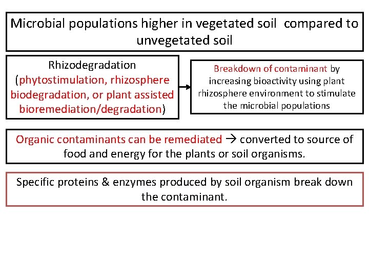 Microbial populations higher in vegetated soil compared to unvegetated soil Rhizodegradation (phytostimulation, rhizosphere biodegradation,