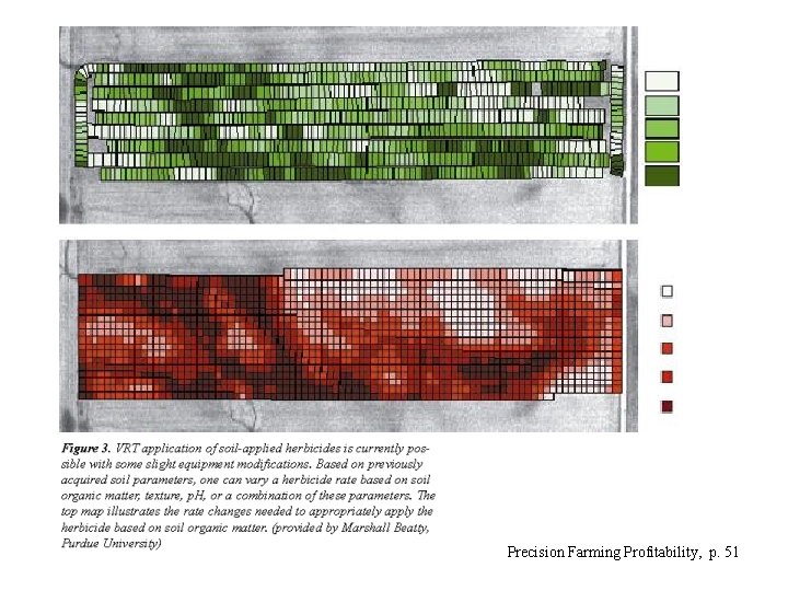 Precision Farming Profitability, p. 51 