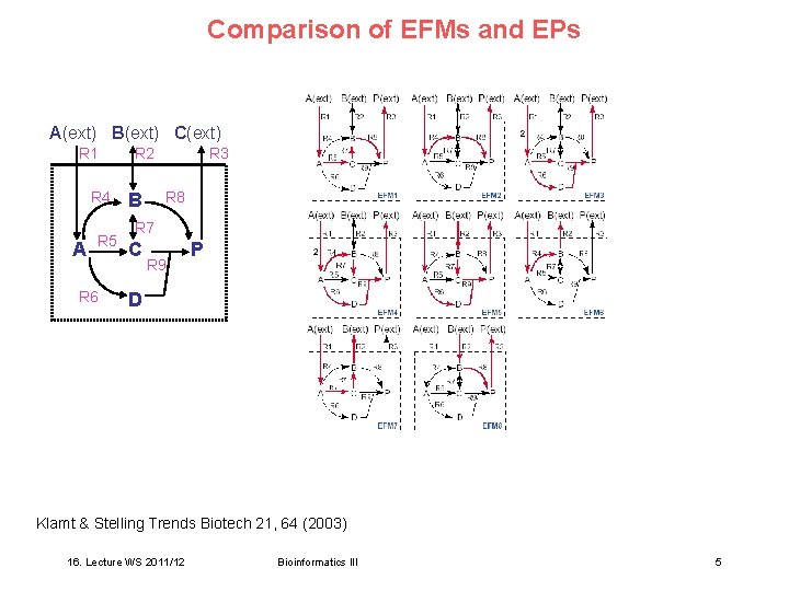 Comparison of EFMs and EPs A(ext) B(ext) C(ext) R 1 R 4 A R