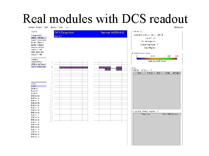 Real modules with DCS readout 