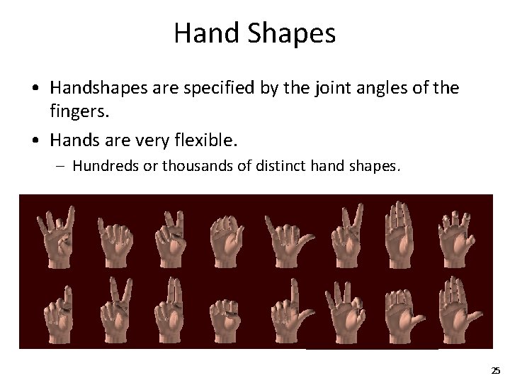 Hand Shapes • Handshapes are specified by the joint angles of the fingers. •