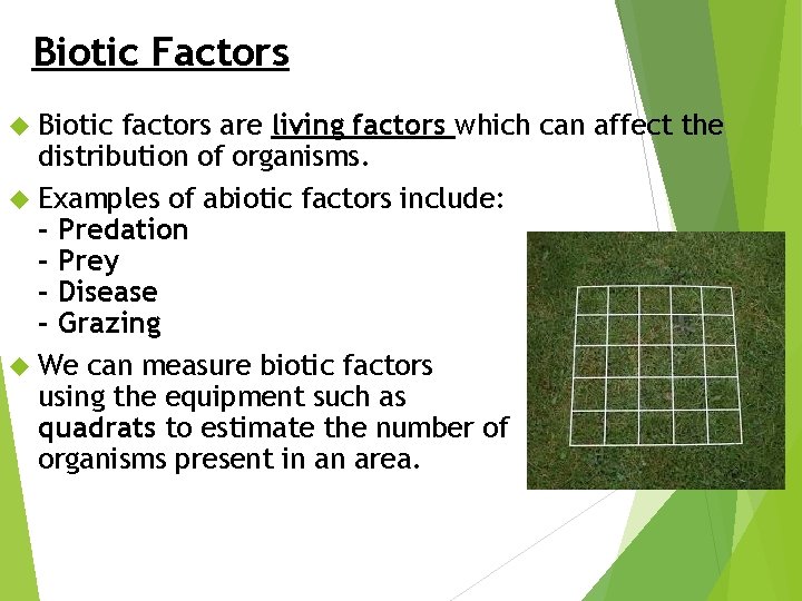 Biotic Factors Biotic factors are living factors which can affect the distribution of organisms.