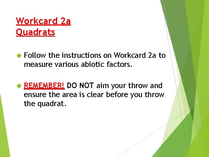 Workcard 2 a Quadrats Follow the instructions on Workcard 2 a to measure various