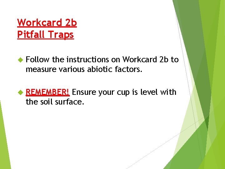 Workcard 2 b Pitfall Traps Follow the instructions on Workcard 2 b to measure