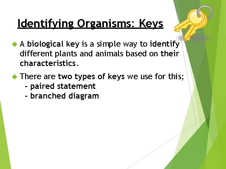 Identifying Organisms: Keys A biological key is a simple way to identify different plants
