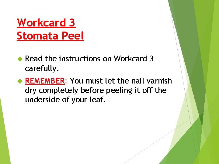 Workcard 3 Stomata Peel Read the instructions on Workcard 3 carefully. REMEMBER: You must