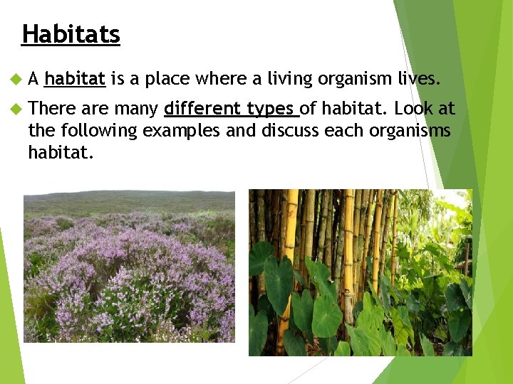 Habitats A habitat is a place where a living organism lives. There are many