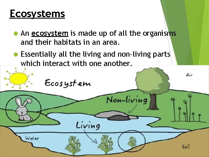 Ecosystems An ecosystem is made up of all the organisms and their habitats in
