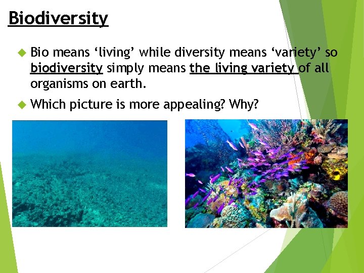 Biodiversity Bio means ‘living’ while diversity means ‘variety’ so biodiversity simply means the living