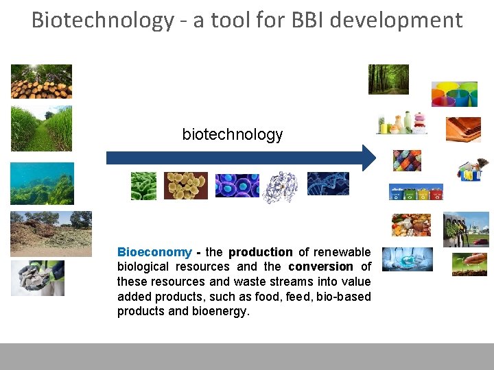 Biotechnology - a tool for BBI development biotechnology Bioeconomy - the production of renewable