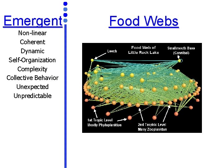 Emergent Non-linear Coherent Dynamic Self-Organization Complexity Collective Behavior Unexpected Unpredictable Food Webs 