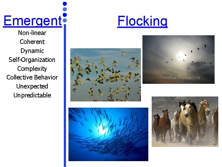 Emergent Non-linear Coherent Dynamic Self-Organization Complexity Collective Behavior Unexpected Unpredictable Flocking 