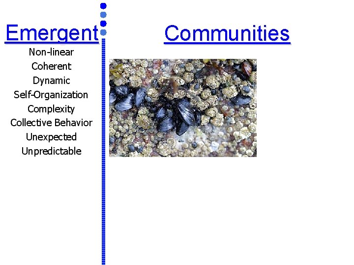 Emergent Non-linear Coherent Dynamic Self-Organization Complexity Collective Behavior Unexpected Unpredictable Communities 